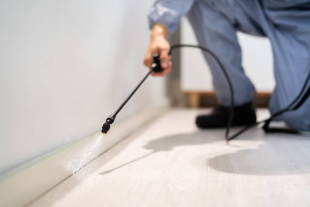Licensed Mosquito Control service in St. Marys, WV - Show Me Pest Control