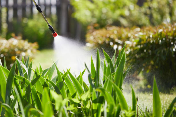 24/7 Emergency Mosquito Control experts in St. Marys, WV