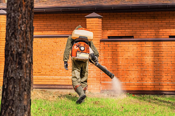 Top rated local Mosquito Control specialists in St. Marys, WV